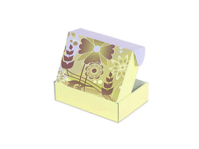 Прямоугольная коробка из картона с откидывающейся крышкой, из дизайнерского микрогофрокартона, непрозрачная,  с печатью на упаковке, 250х160х95 мм