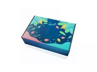 Коробка с откидывающейся крышкой 250х160х95, непрозрачная, с печатью