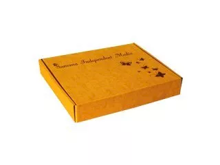 Короб с откидывающейся крышкой 310х263х48, непрозрачный, с печатью
