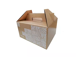 Цельный короб 320х265х176, непрозрачный, с печатью